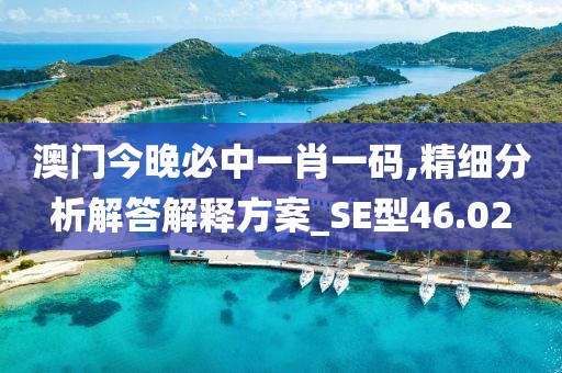 澳门今晚必中一肖一码,精细分析解答解释方案_SE型46.02