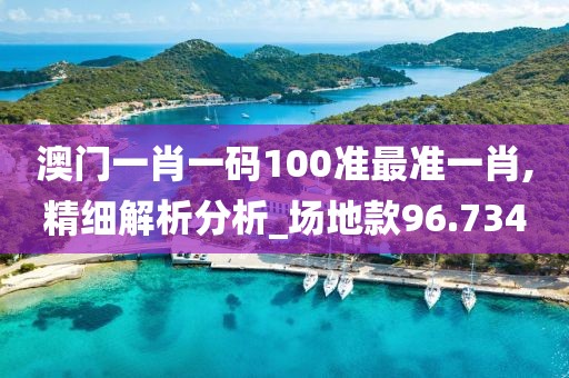 澳门一肖一码100准最准一肖,精细解析分析_场地款96.734