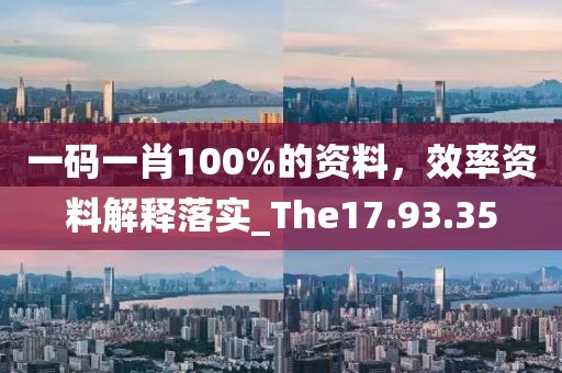 一码一肖100%的资料，效率资料解释落实_The17.93.35