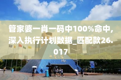 管家婆一肖一码中100%命中,深入执行计划数据_匹配款26.017