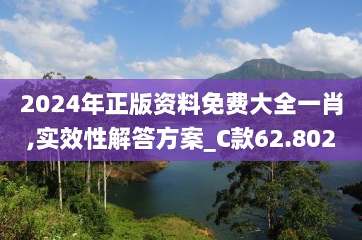 2024年正版资料免费大全一肖,实效性解答方案_C款62.802
