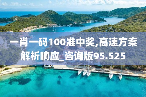 一肖一码100准中奖,高速方案解析响应_咨询版95.525