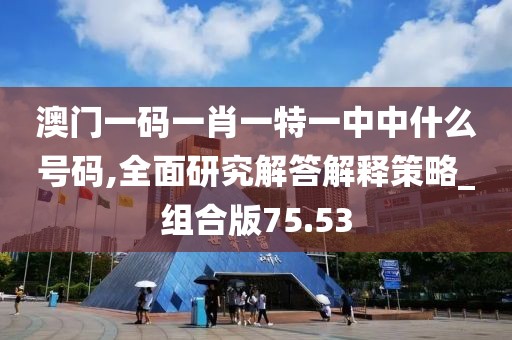 澳门一码一肖一特一中中什么号码,全面研究解答解释策略_组合版75.53