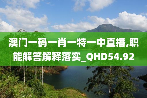 澳门一码一肖一特一中直播,职能解答解释落实_QHD54.92