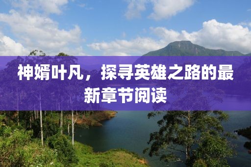 神婿叶凡，探寻英雄之路的最新章节阅读