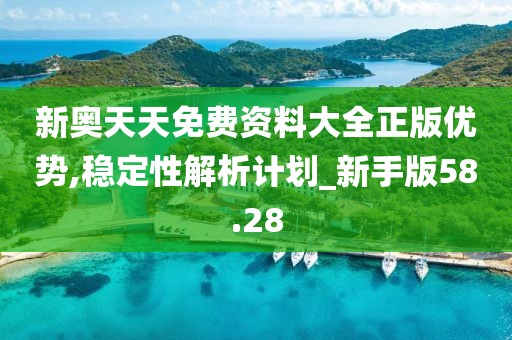 新奥天天免费资料大全正版优势,稳定性解析计划_新手版58.28