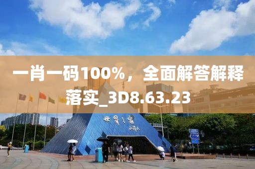 一肖一码100%，全面解答解释落实_3D8.63.23