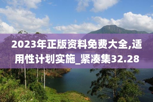 2023年正版资料免费大全,适用性计划实施_紧凑集32.28