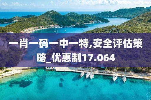 一肖一码一中一特,安全评估策略_优惠制17.064
