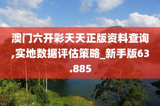 澳门六开彩天天正版资料查询,实地数据评估策略_新手版63.885