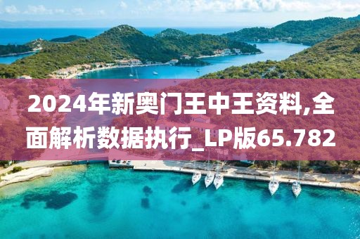 2024年新奥门王中王资料,全面解析数据执行_LP版65.782