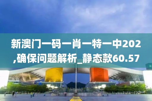 新澳门一码一肖一特一中202,确保问题解析_静态款60.57
