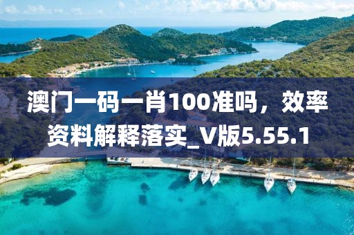 澳门一码一肖100准吗，效率资料解释落实_V版5.55.1