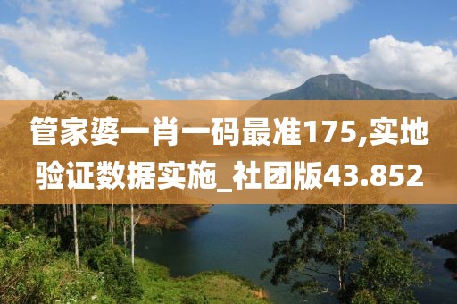 管家婆一肖一码最准175,实地验证数据实施_社团版43.852