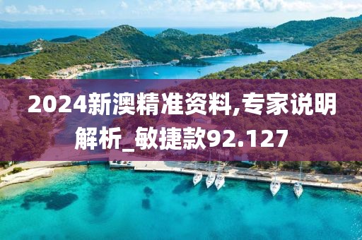 2024新澳精准资料,专家说明解析_敏捷款92.127