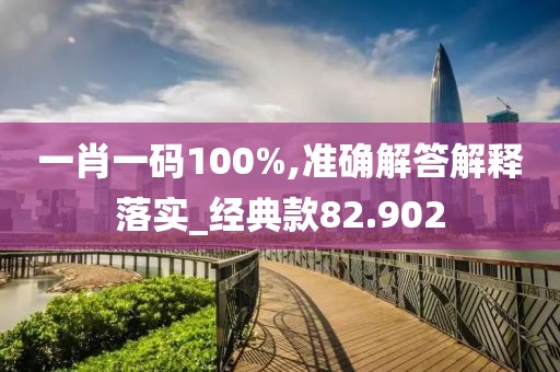 一肖一码100%,准确解答解释落实_经典款82.902