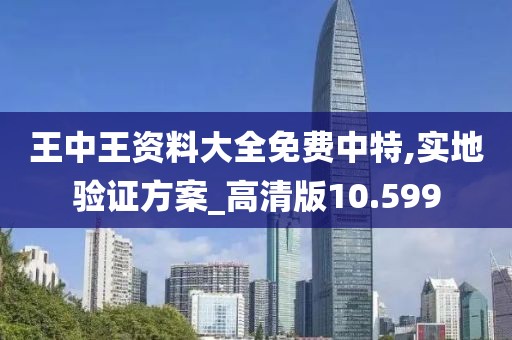 王中王资料大全免费中特,实地验证方案_高清版10.599