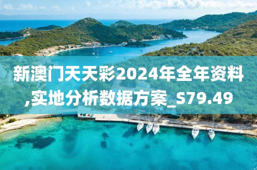 新澳门天天彩2024年全年资料,实地分析数据方案_S79.49