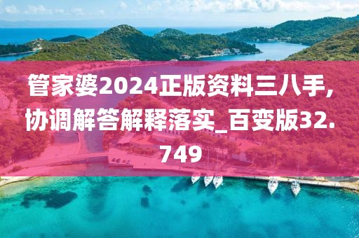 管家婆2024正版资料三八手,协调解答解释落实_百变版32.749
