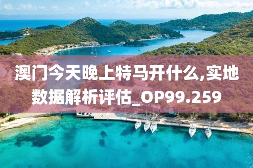 澳门今天晚上特马开什么,实地数据解析评估_OP99.259