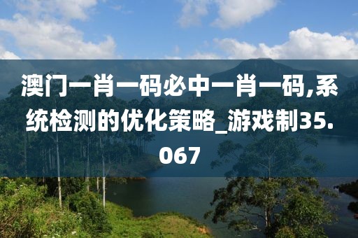 澳门一肖一码必中一肖一码,系统检测的优化策略_游戏制35.067