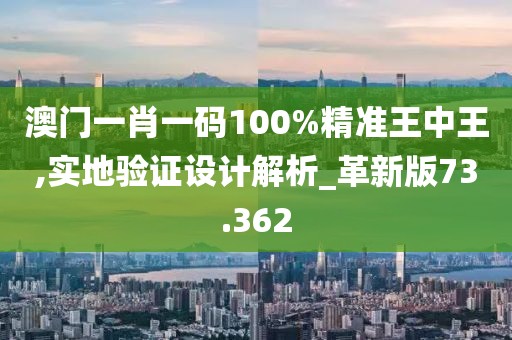 澳门一肖一码100%精准王中王,实地验证设计解析_革新版73.362
