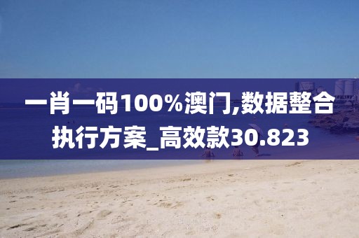 一肖一码100%澳门,数据整合执行方案_高效款30.823