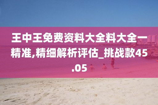 王中王免费资料大全料大全一精准,精细解析评估_挑战款45.05