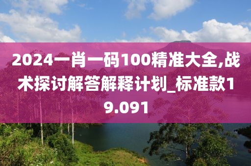 2024一肖一码100精准大全,战术探讨解答解释计划_标准款19.091