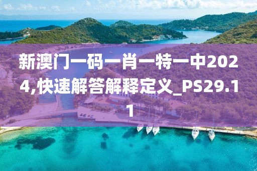 新澳门一码一肖一特一中2024,快速解答解释定义_PS29.11