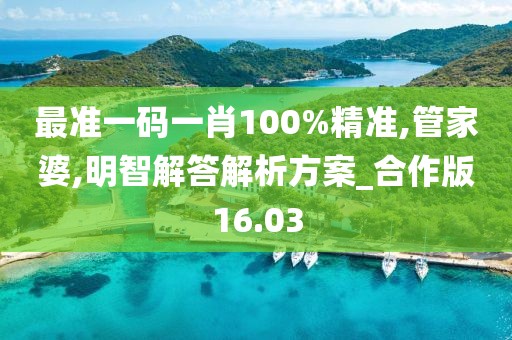 最准一码一肖100%精准,管家婆,明智解答解析方案_合作版16.03