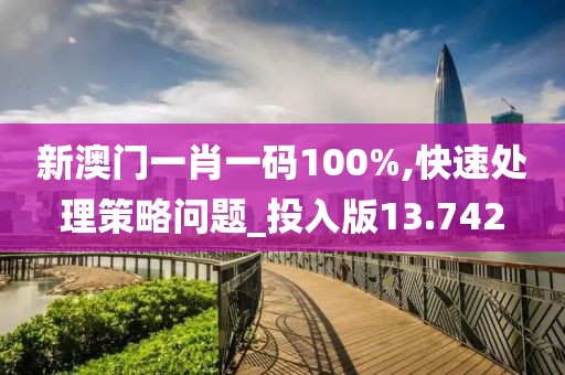 新澳门一肖一码100%,快速处理策略问题_投入版13.742