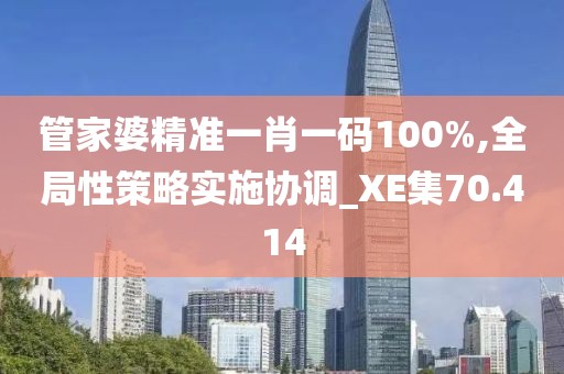 管家婆精准一肖一码100%,全局性策略实施协调_XE集70.414