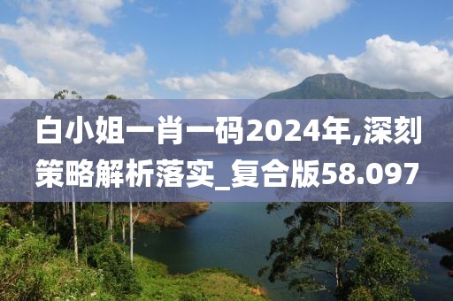白小姐一肖一码2024年,深刻策略解析落实_复合版58.097