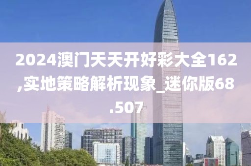 2024澳门天天开好彩大全162,实地策略解析现象_迷你版68.507