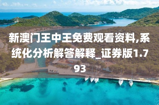 新澳门王中王免费观看资料,系统化分析解答解释_证券版1.793