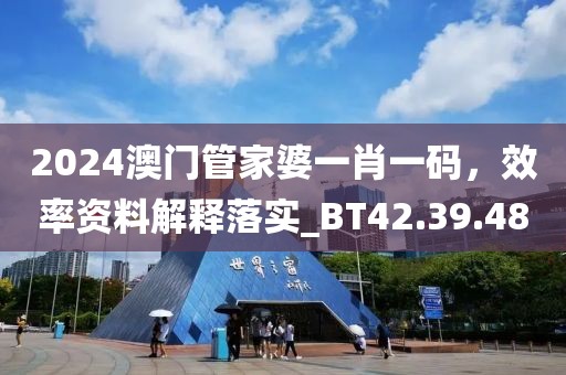 2024澳门管家婆一肖一码，效率资料解释落实_BT42.39.48