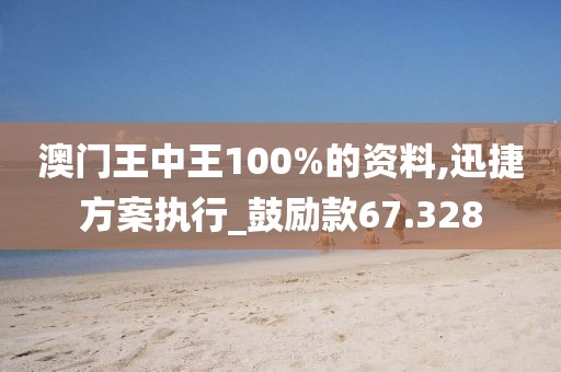 澳门王中王100%的资料,迅捷方案执行_鼓励款67.328