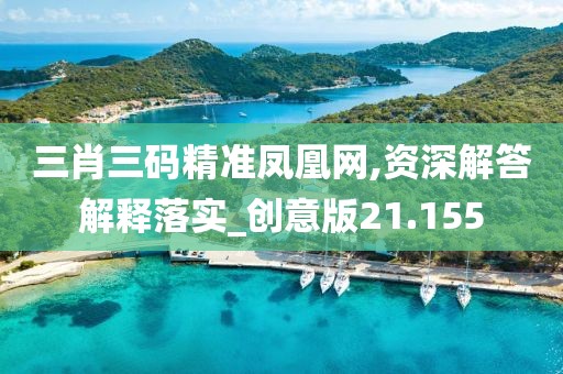 三肖三码精准凤凰网,资深解答解释落实_创意版21.155