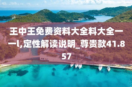 王中王免费资料大全料大全一一l,定性解读说明_尊贵款41.857
