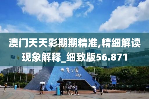 澳门天天彩期期精准,精细解读现象解释_细致版56.871