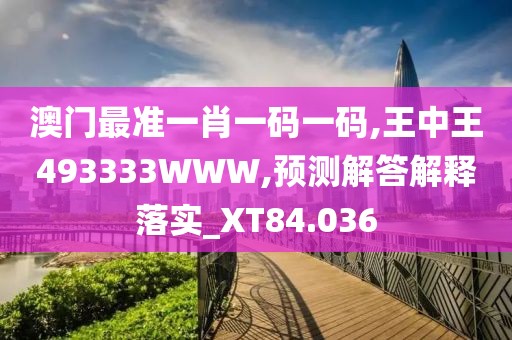 澳门最准一肖一码一码,王中王493333WWW,预测解答解释落实_XT84.036