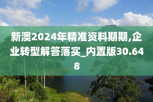 新澳2024年精准资料期期,企业转型解答落实_内置版30.648