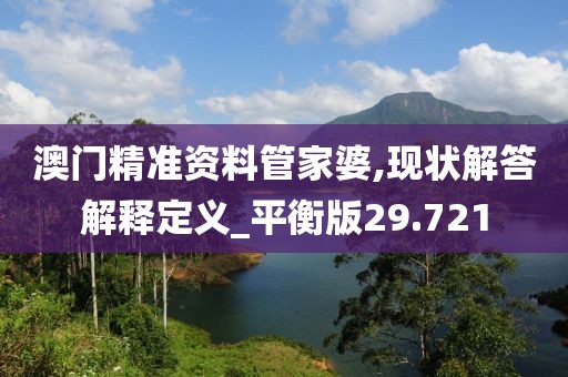 澳门精准资料管家婆,现状解答解释定义_平衡版29.721