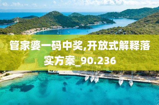 管家婆一码中奖,开放式解释落实方案_90.236