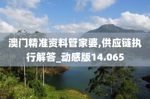 澳门精准资料管家婆,供应链执行解答_动感版14.065