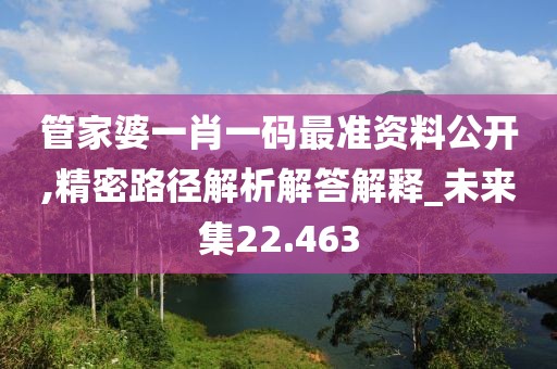 管家婆一肖一码最准资料公开,精密路径解析解答解释_未来集22.463