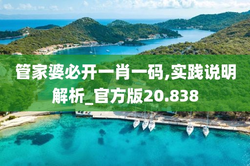 管家婆必开一肖一码,实践说明解析_官方版20.838