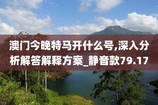 澳门今晚特马开什么号,深入分析解答解释方案_静音款79.17