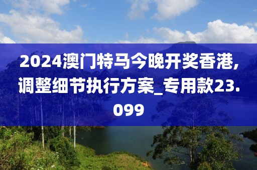 2024澳门特马今晚开奖香港,调整细节执行方案_专用款23.099